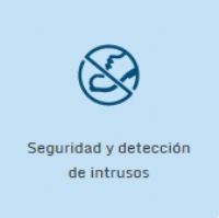 SEGURIDAD Y DETENCION DE INTRUSOS